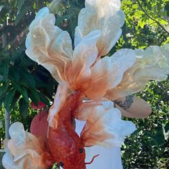 Cá chép trang trí